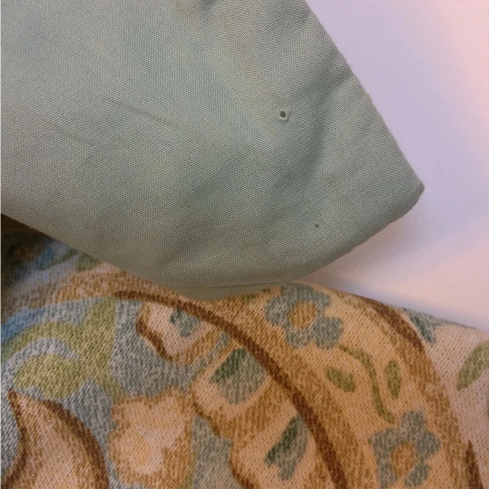 Pottery Barn standard pillow shams green blue paisley two